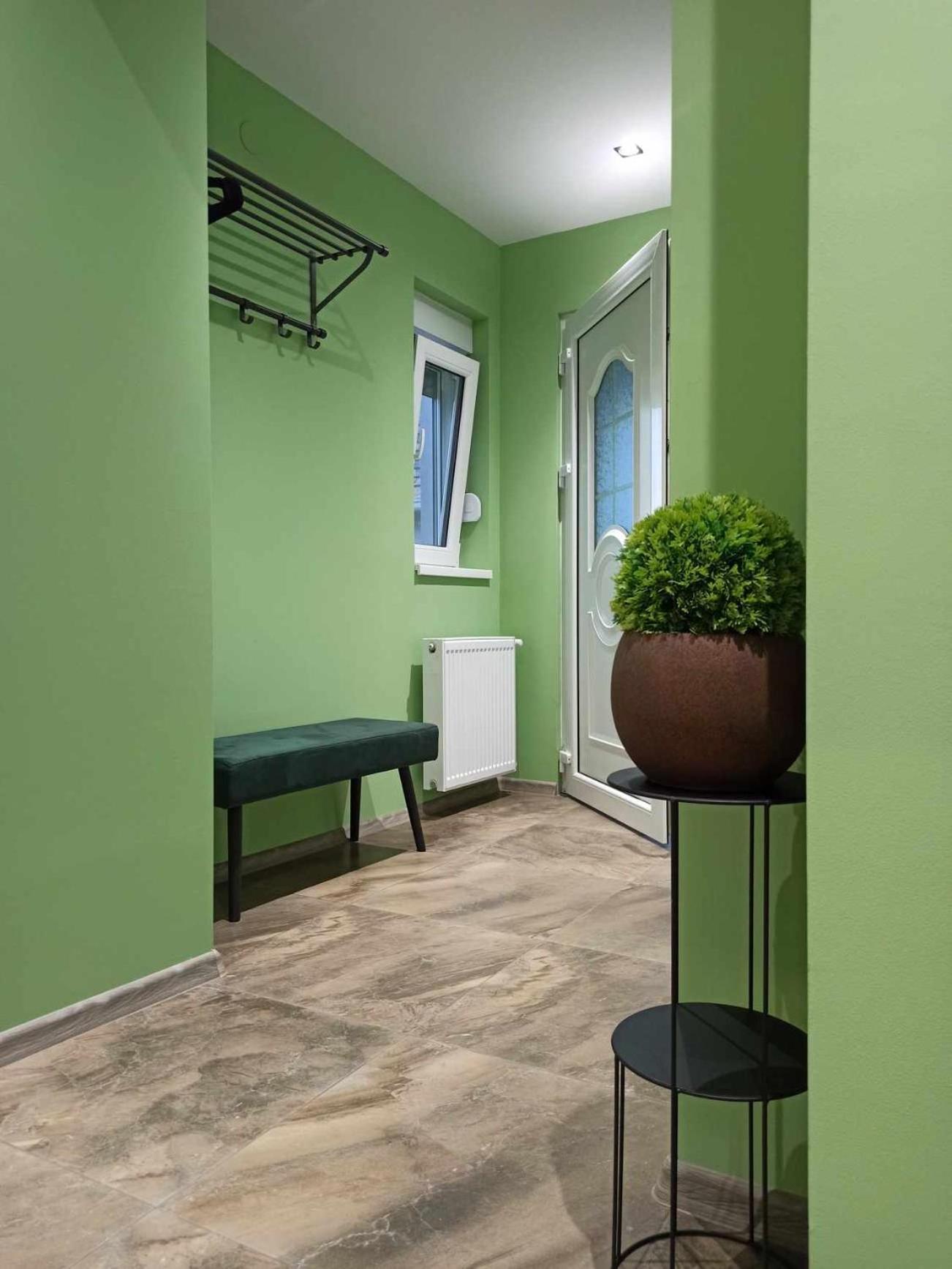 Dream House Apartment Vrsac Exterior photo